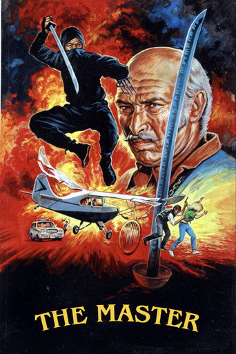 Póster de Master Ninja