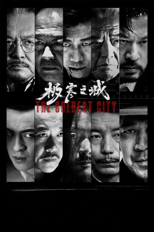 Póster de 极寒之城