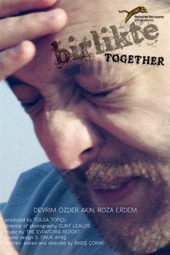 Póster de Birlikte