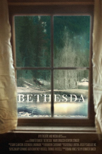 Póster de Bethesda