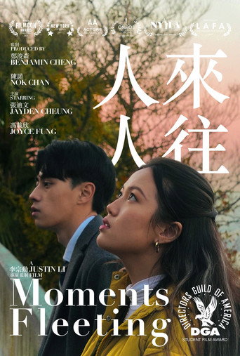 Póster de Moments Fleeting