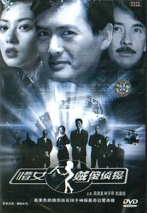 Póster de 懵佬，大賊，傻偵探