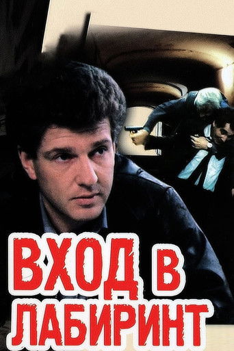 Póster de Вход в лабиринт