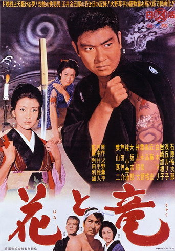 Póster de 花と竜