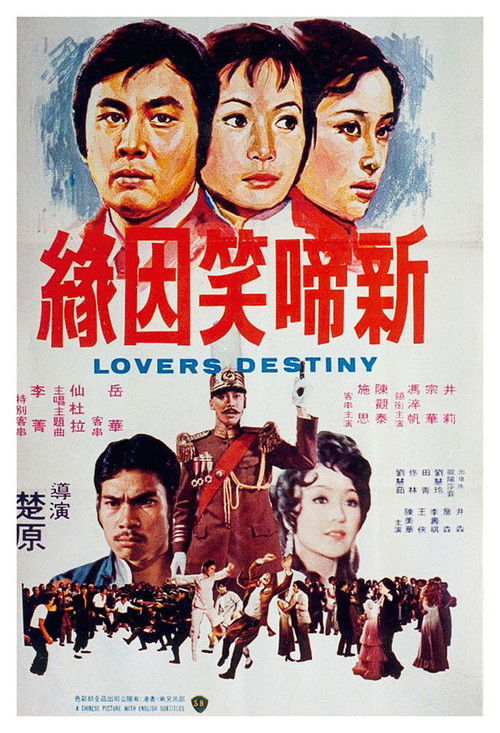Póster de 新啼笑姻緣