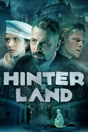 Póster de Hinterland