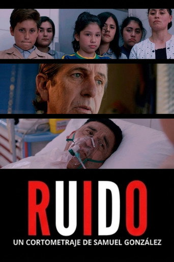 Póster de Ruido