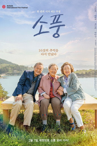 Póster de 소풍