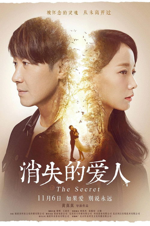 Póster de 消失的愛人