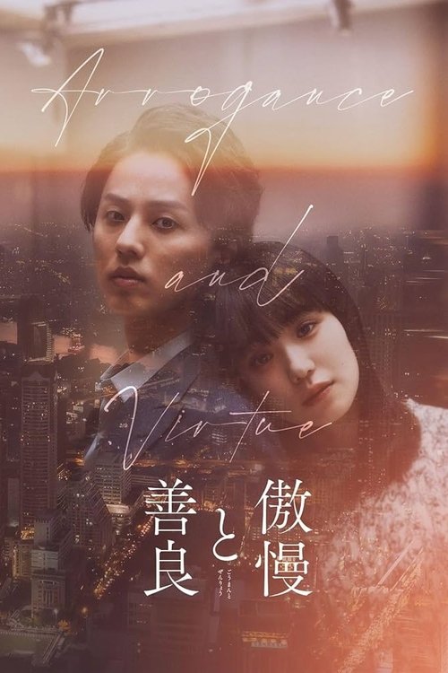 Póster de 傲慢と善良
