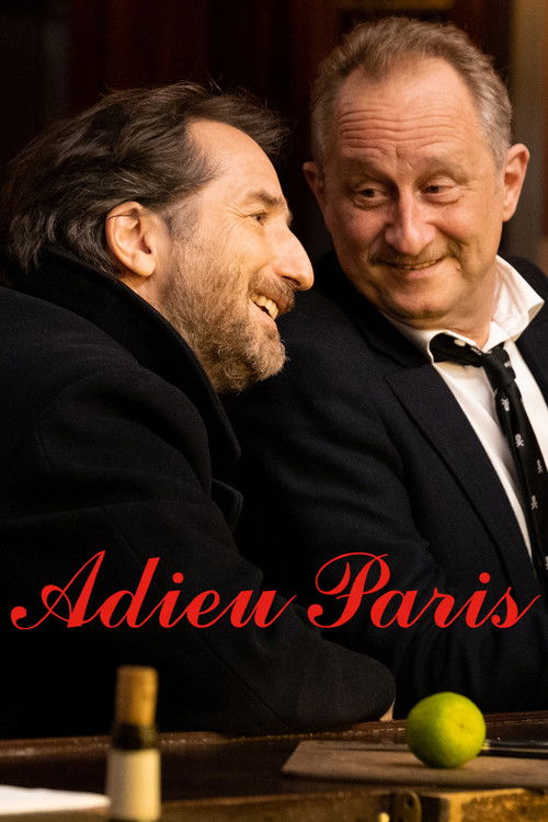 Póster de Adieu Paris