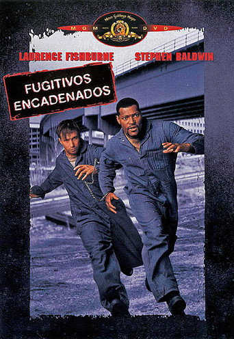 Póster de Fled