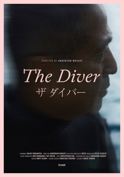 Póster de The Diver