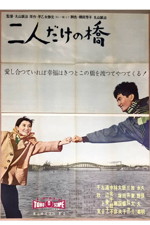 Póster de 二人だけの橋