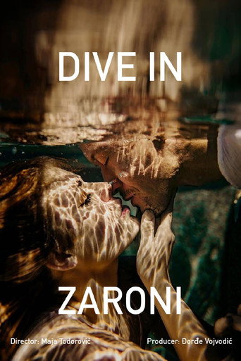 Póster de Zaroni