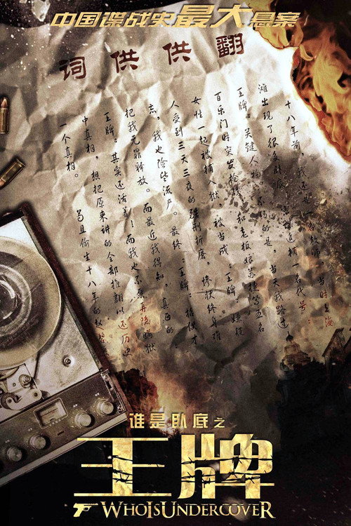Póster de 谁是卧底之王牌