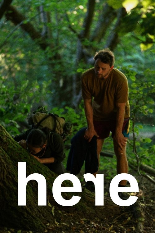 Póster de Here