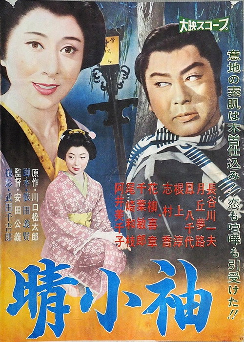 Póster de 晴小袖