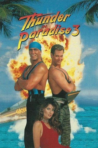 Póster de Thunder in Paradise 3
