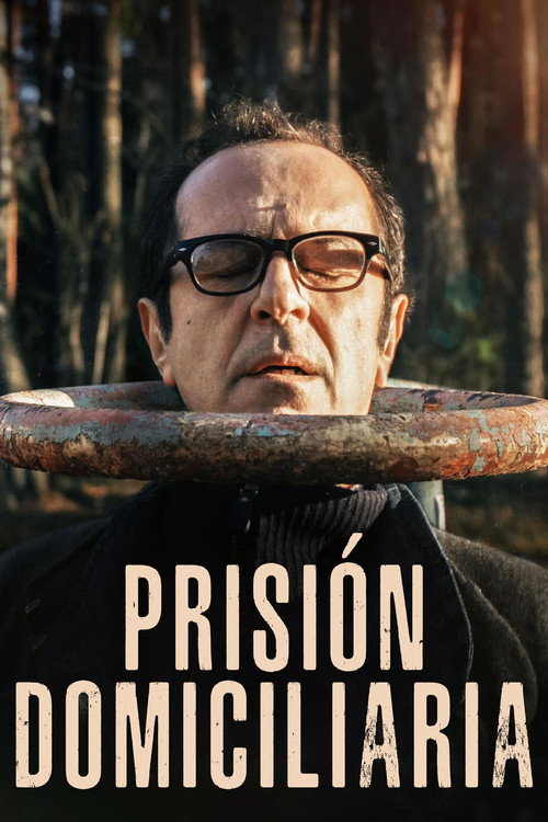 Póster de Дело