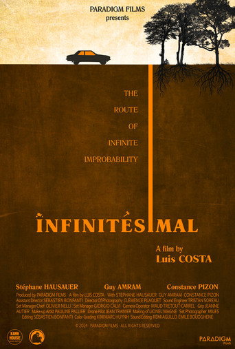 Póster de Infinitesimal