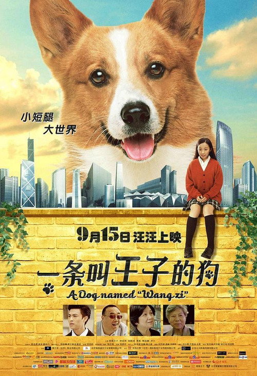 Póster de 一条叫王子的狗