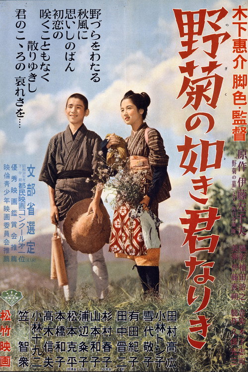 Póster de 野菊の如き君なりき