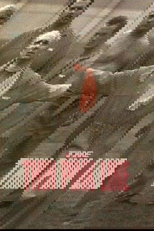 Póster de The Thin Pink Line