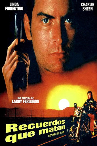 Póster de Beyond the Law