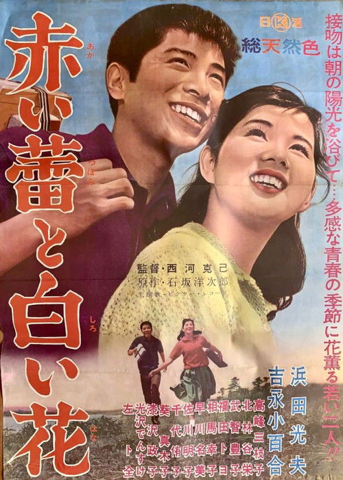 Póster de 赤い蕾と白い花