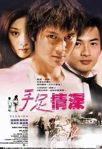 Póster de 手足情深