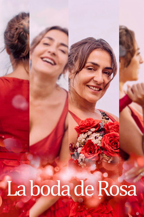Póster de La boda de Rosa