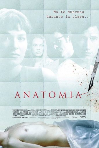 Póster de Anatomía