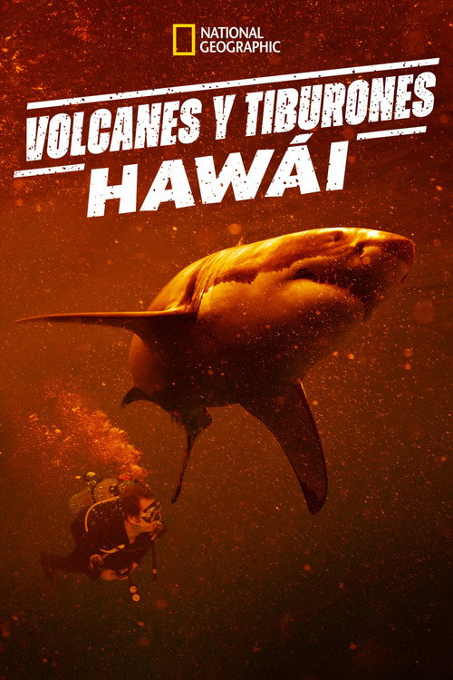 Póster de Sharkcano: Hawaii