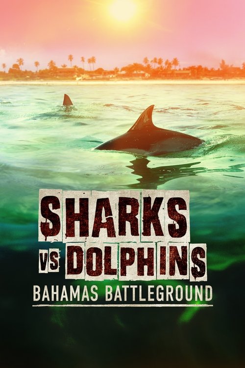 Póster de Sharks vs. Dolphins: Bahamas Battleground