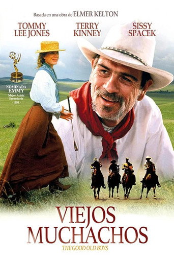 Póster de The Good Old Boys