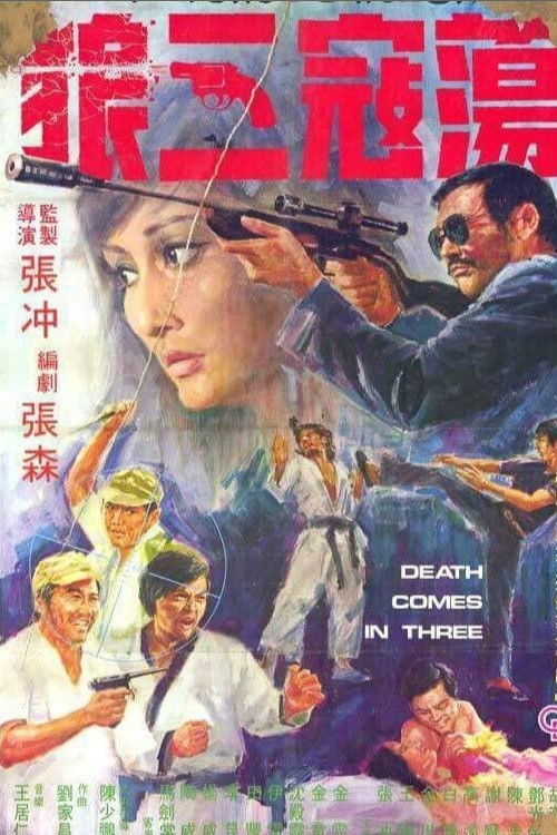 Póster de 荡寇三狼