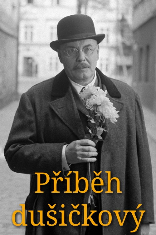Póster de Příběh dušičkový