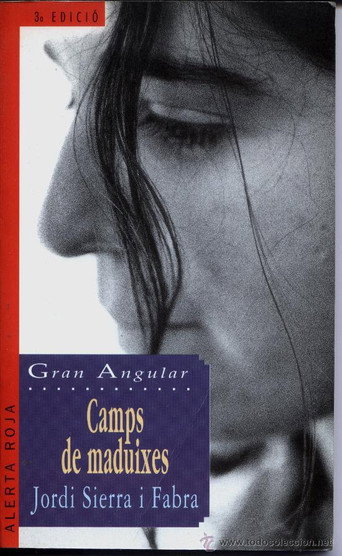 Póster de Camps de maduixes