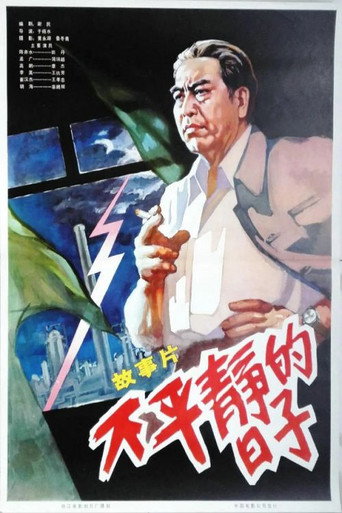Póster de 不平静的日子
