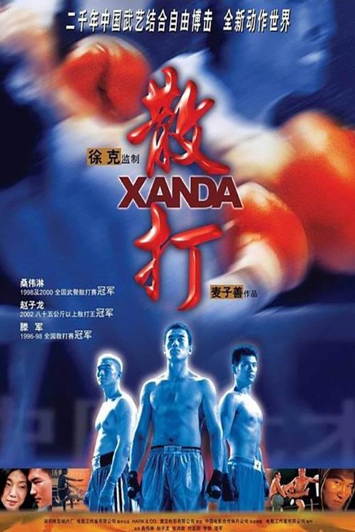 Póster de 散打