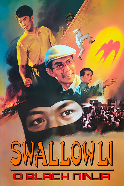 Póster de 神偷燕子李三