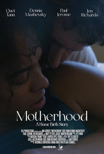 Póster de Motherhood