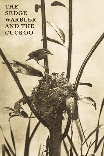 Póster de The Sedge Warbler and the Cuckoo