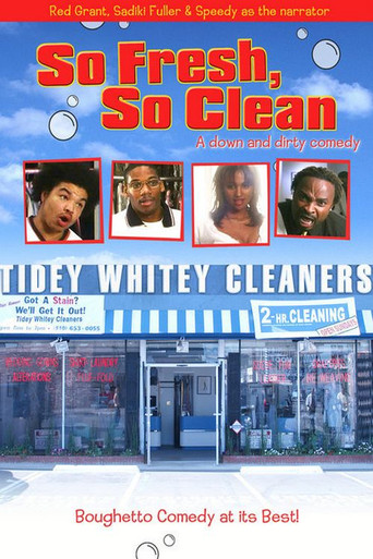 Póster de So Fresh, So Clean