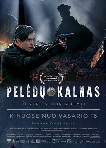 Póster de Pelėdų kalnas