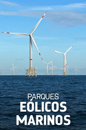 Póster de Windparks im Meer - Chance oder Risiko für die Natur?