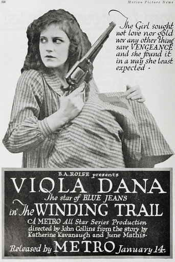Póster de The Winding Trail