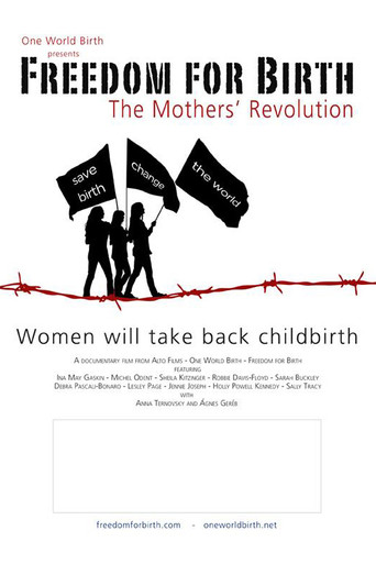 Póster de Freedom For Birth