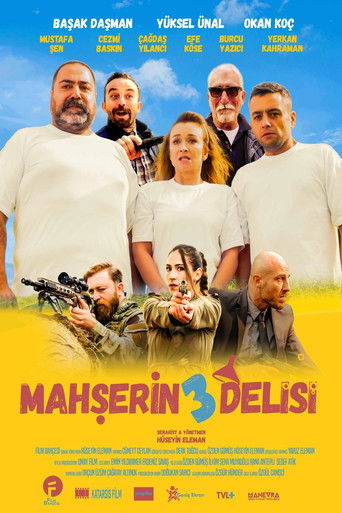 Póster de Mahşerin Üç Delisi